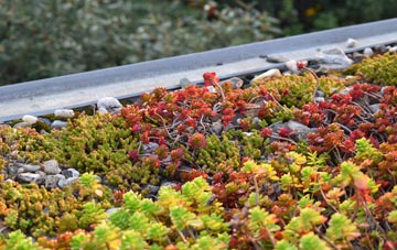 the cost of Hundall green roof installation