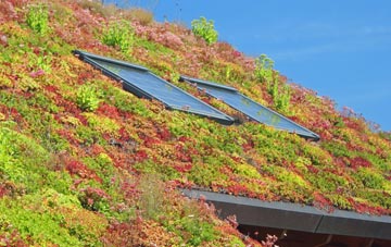Hundall living roof systems