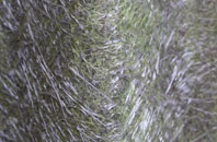 Hundall fibreglass roof work